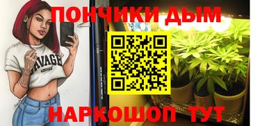 МДПВ Будённовск